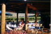 view from inside gazebo at annapurna winery